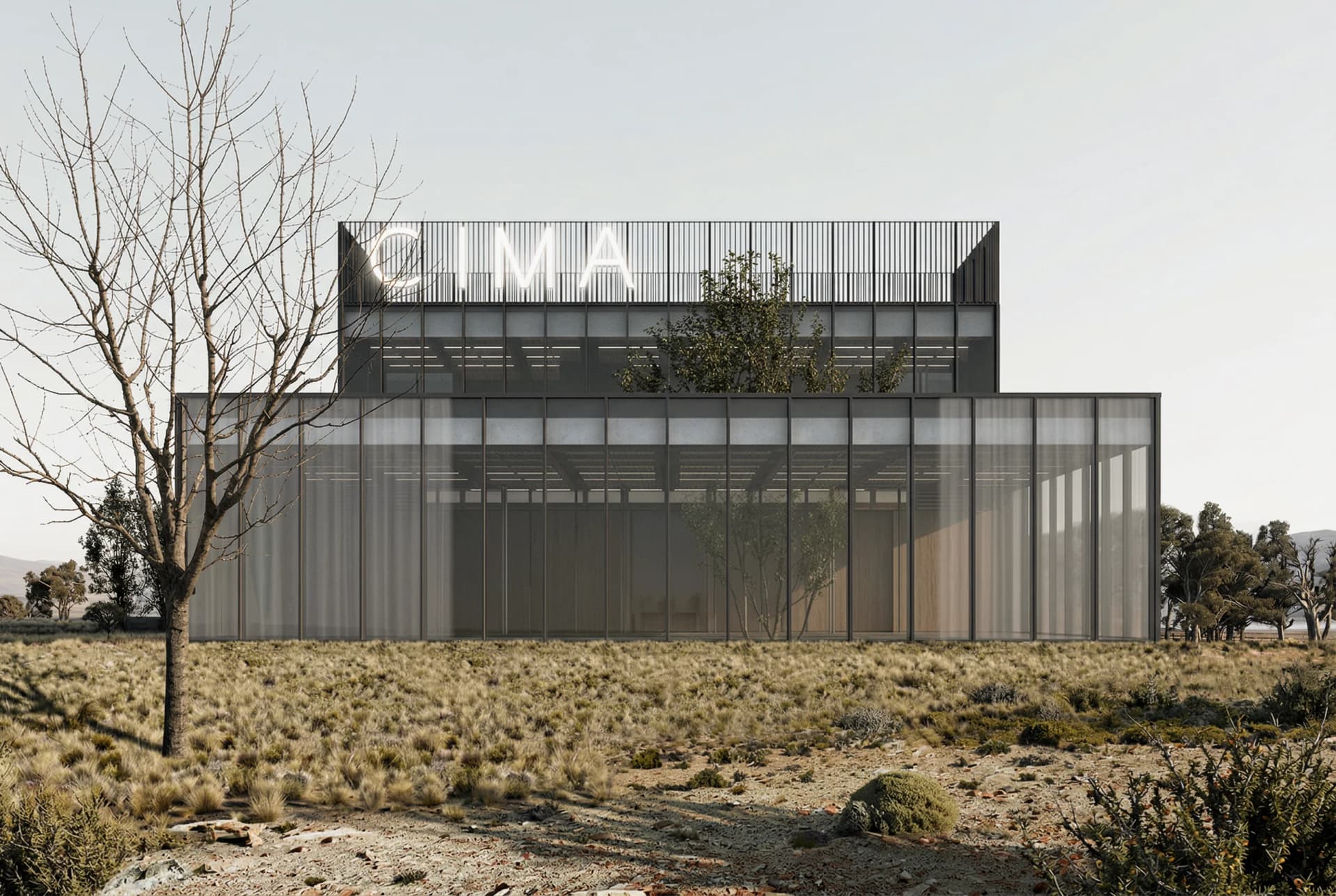 Cámara Industrial - 2