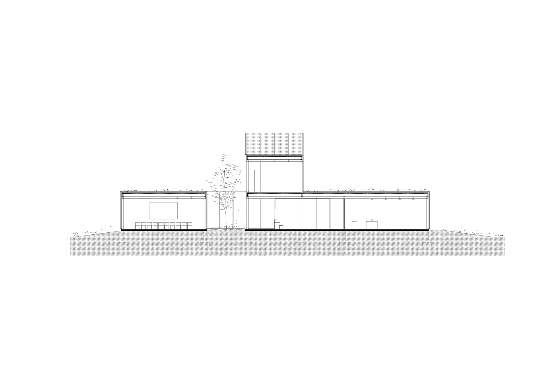 Cámara Industrial - 6