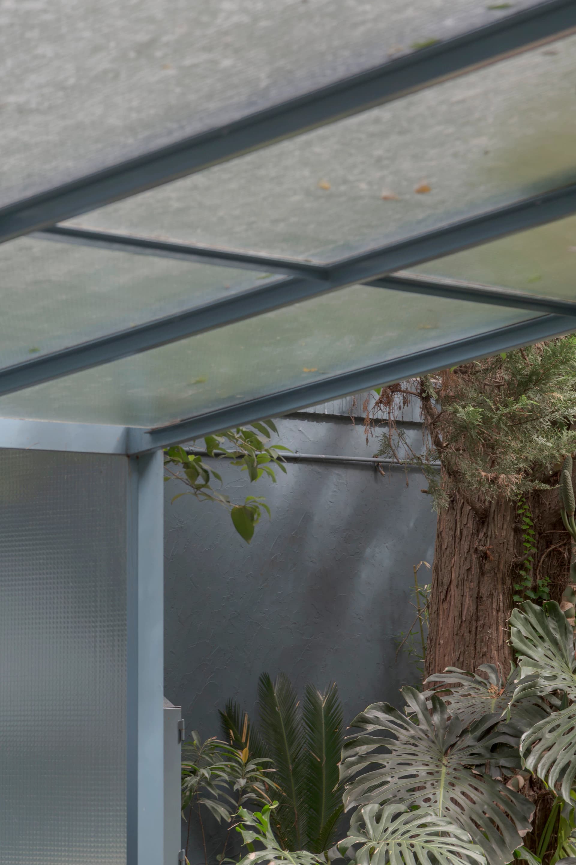 Pabellon Guayra - 16