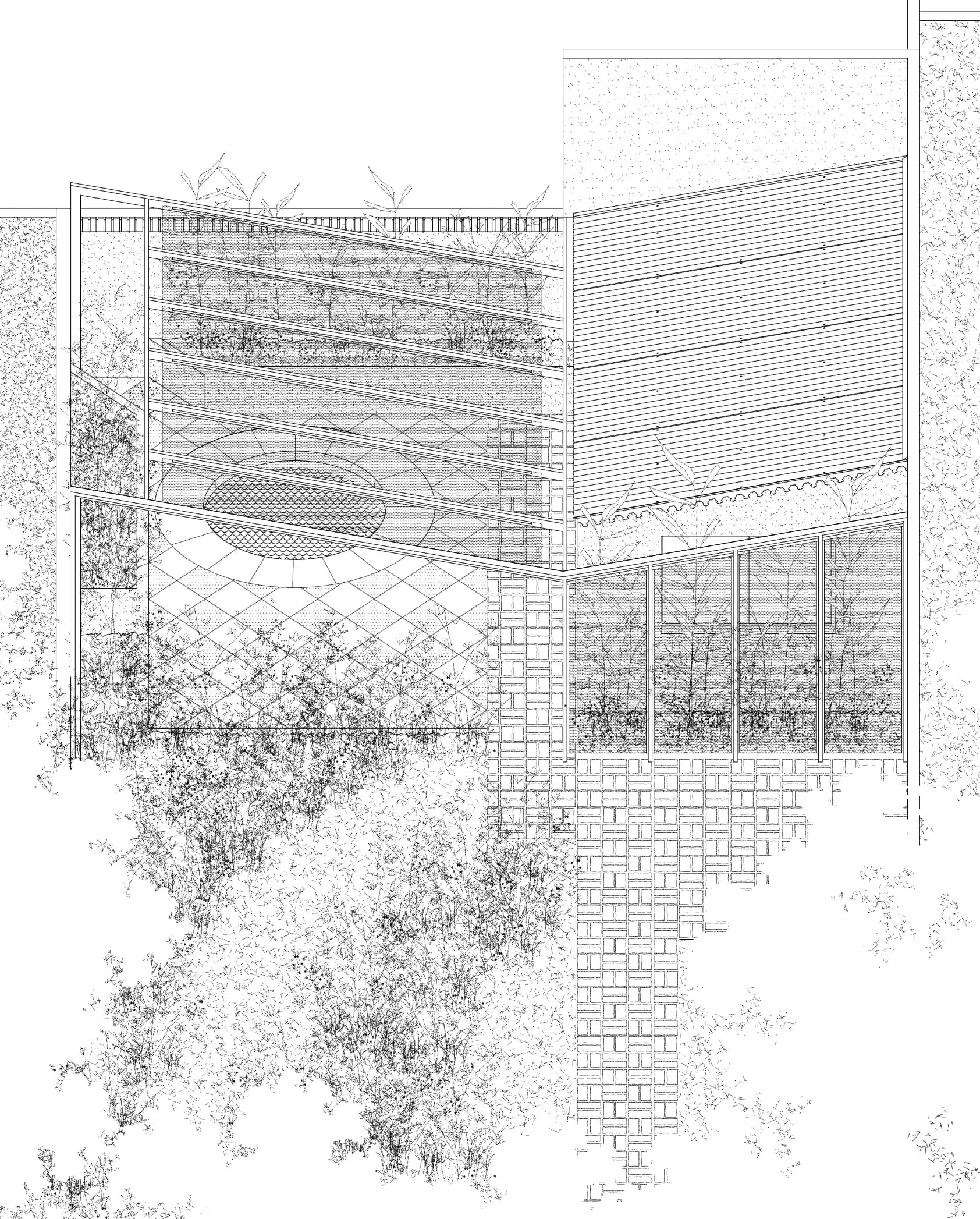Pabellon Guayra - 18